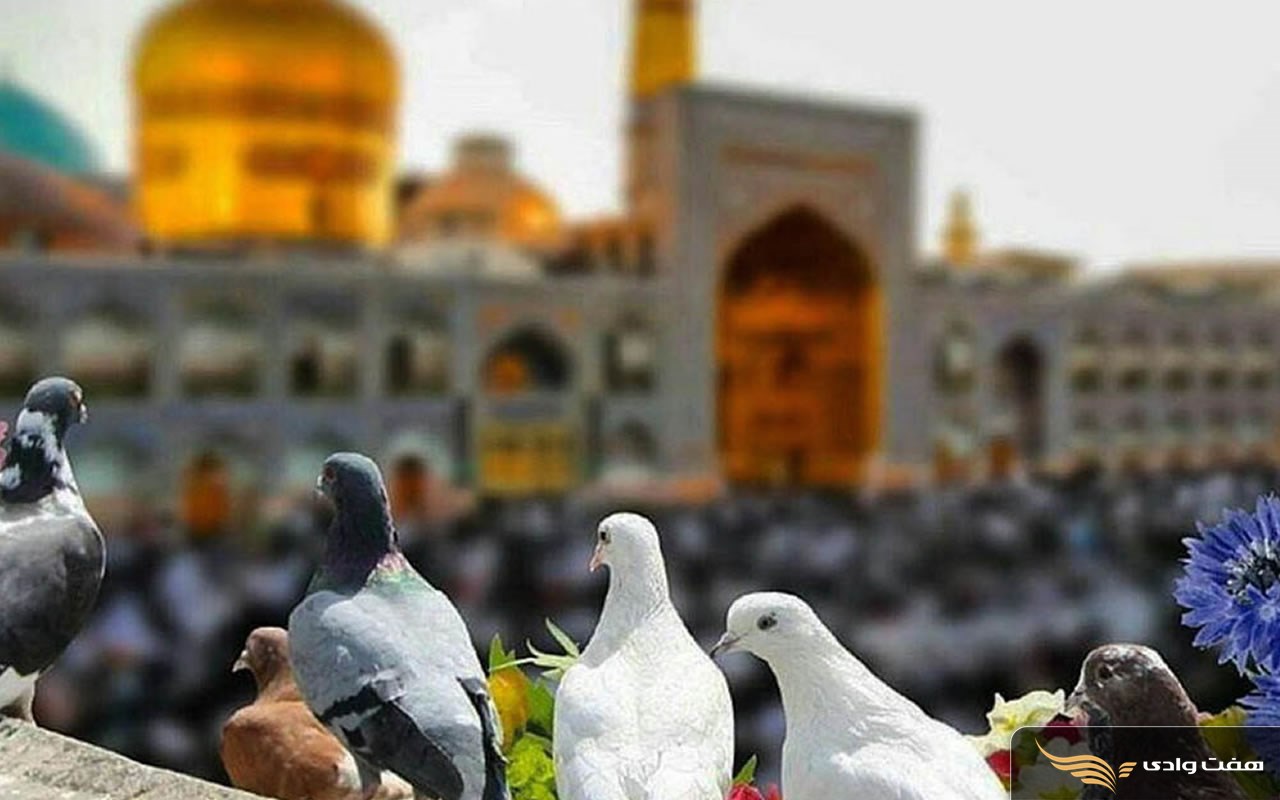 رزرو تور مشهد