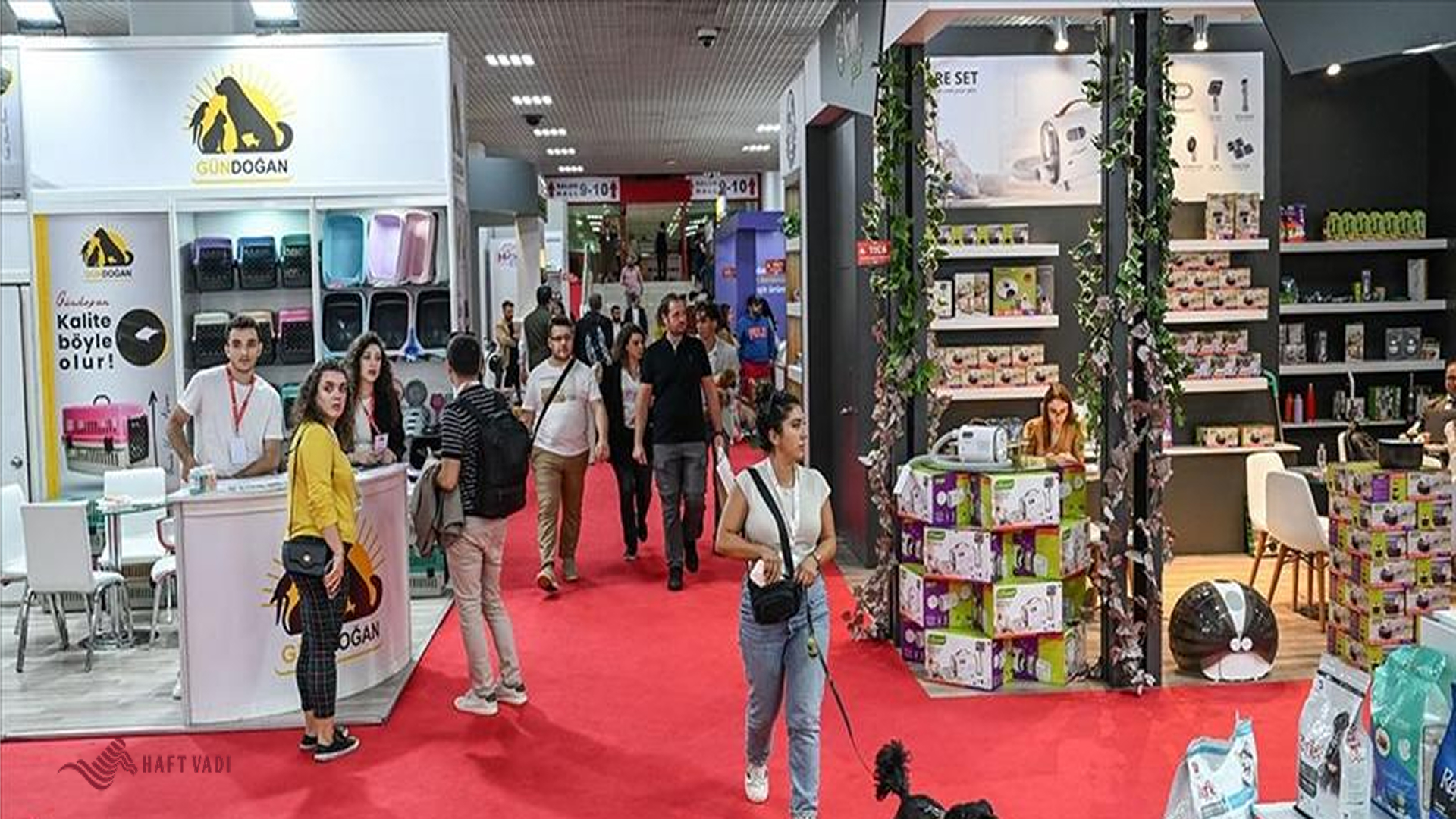 Istanbul pet Exhibitions
